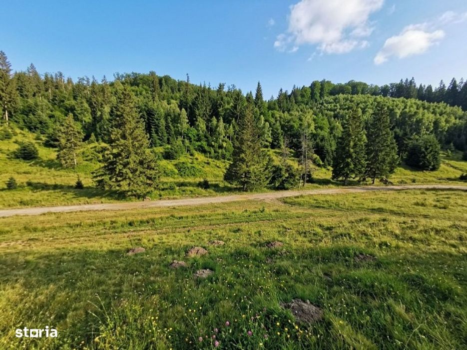 Poiana Brașov, Teren intravilan 2.763 mp , utilitati, Str. Stânii,