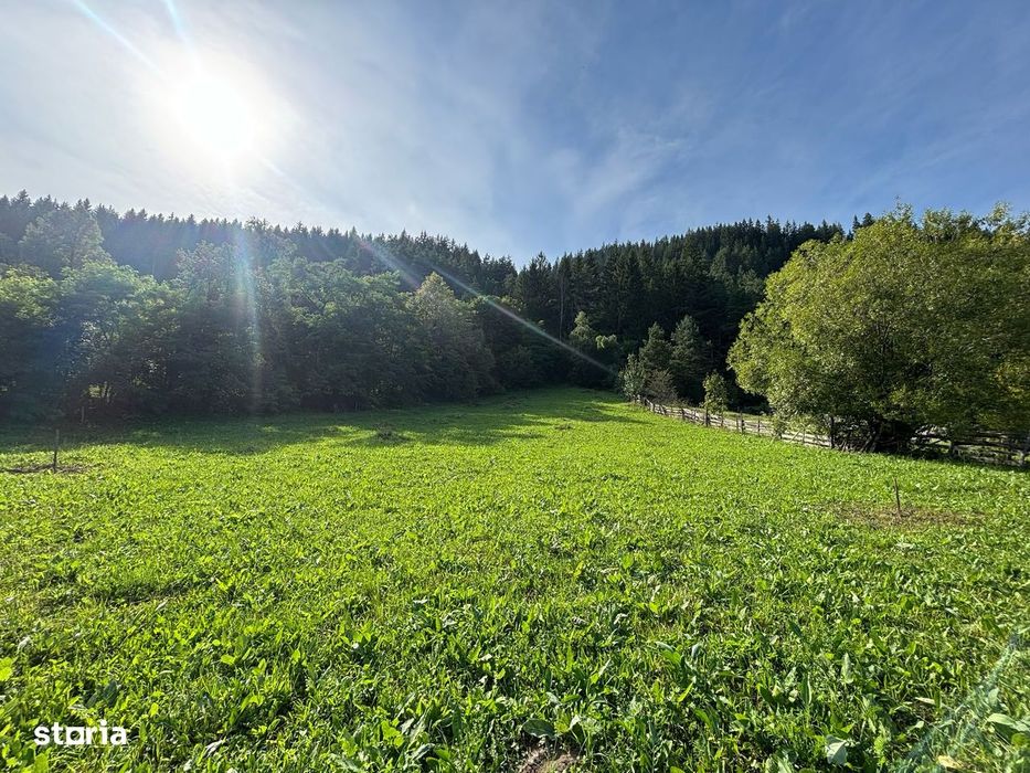 Teren Grințieș/Neamț