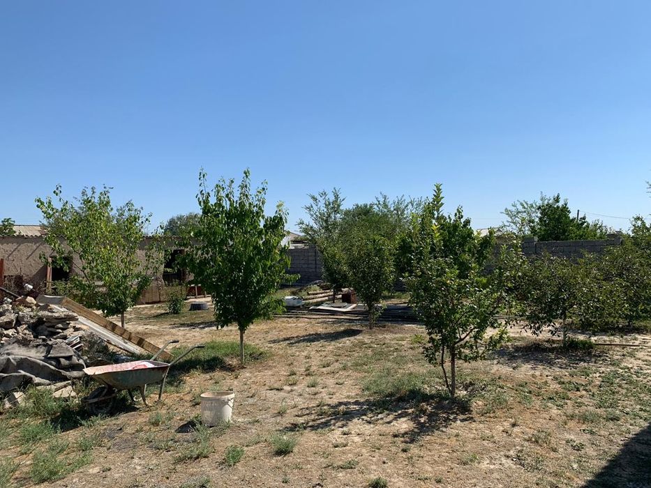 Кой кошкарга ауыстырамын