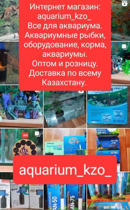 Аквариум балықтарымен