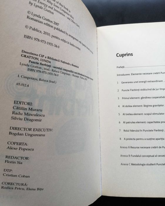 Puncte Fierbinti Lynda Gratton ed Publica business inovatie companii