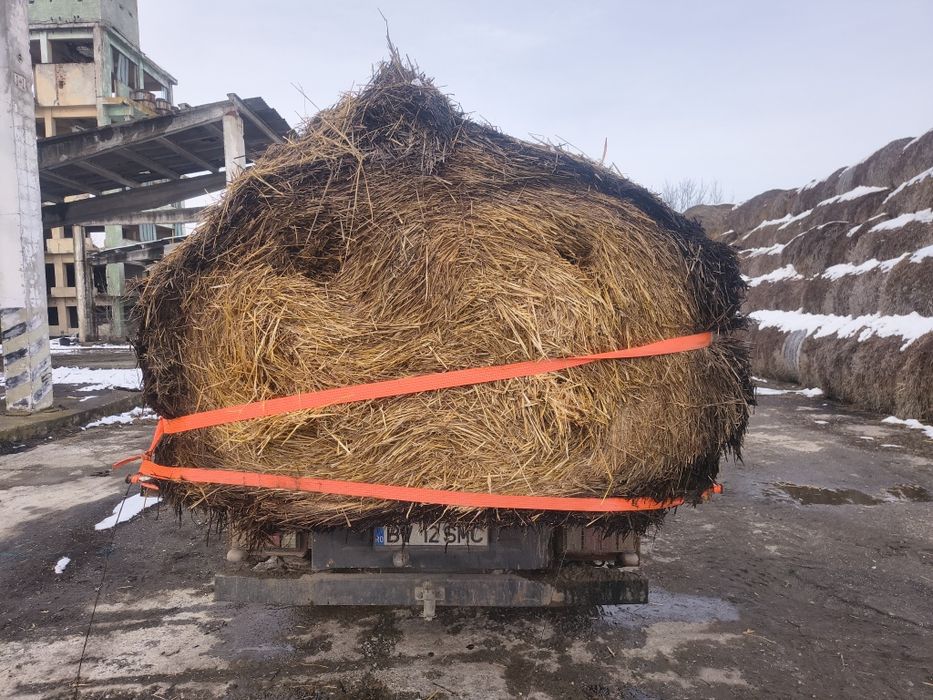 Baloți de paie rotunzi