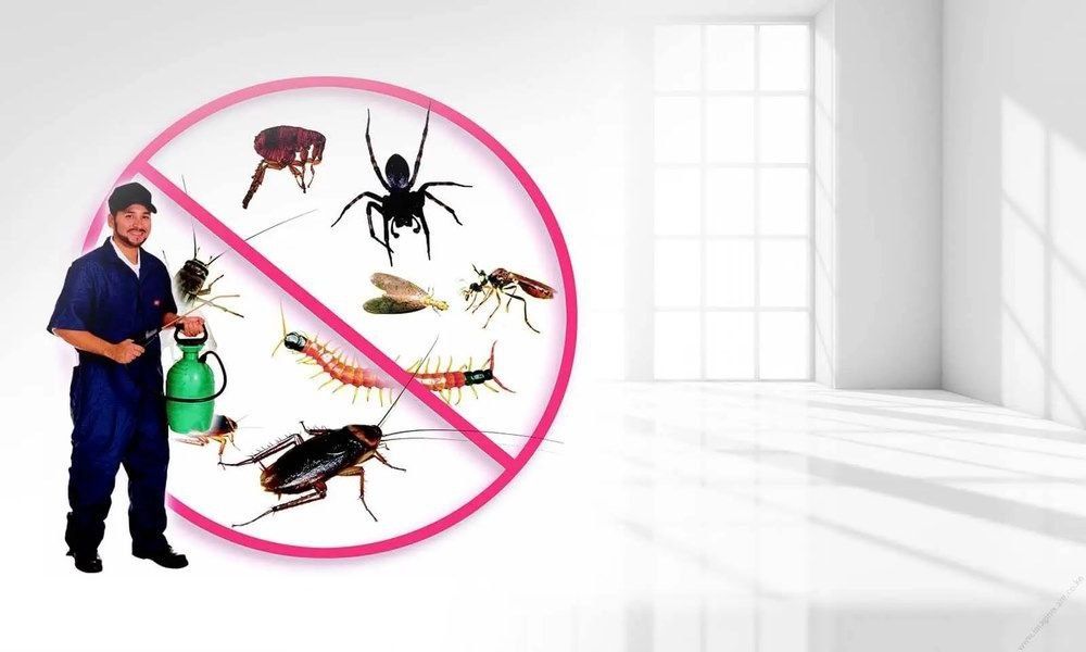 Dezinfeksiya xizmati