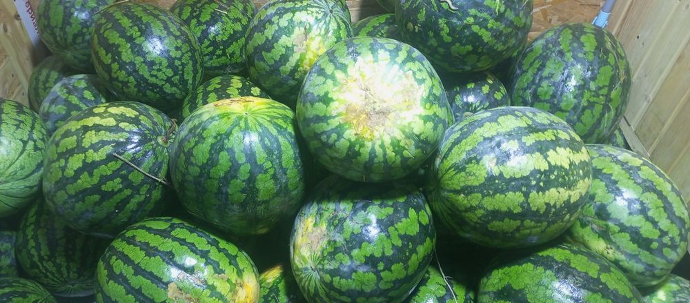 Распродажа арбузов