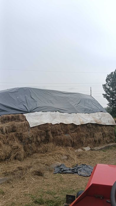 Baloți fan,10 lei,suceava