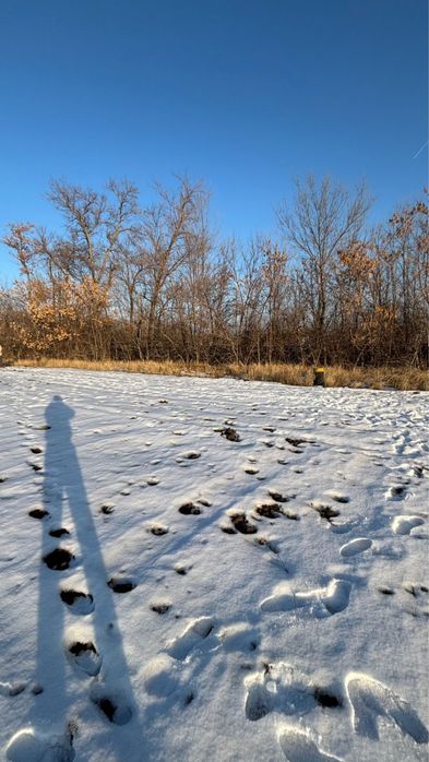 Участок жер сатам