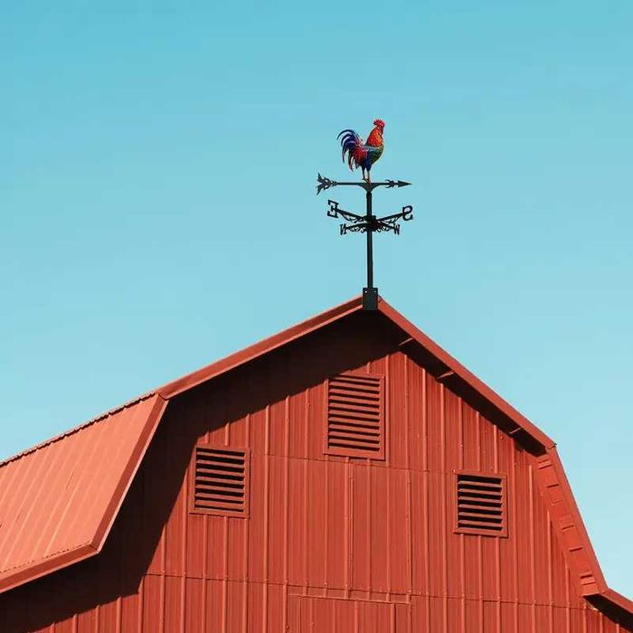 Ветропоказател , ветропоказатели - видове