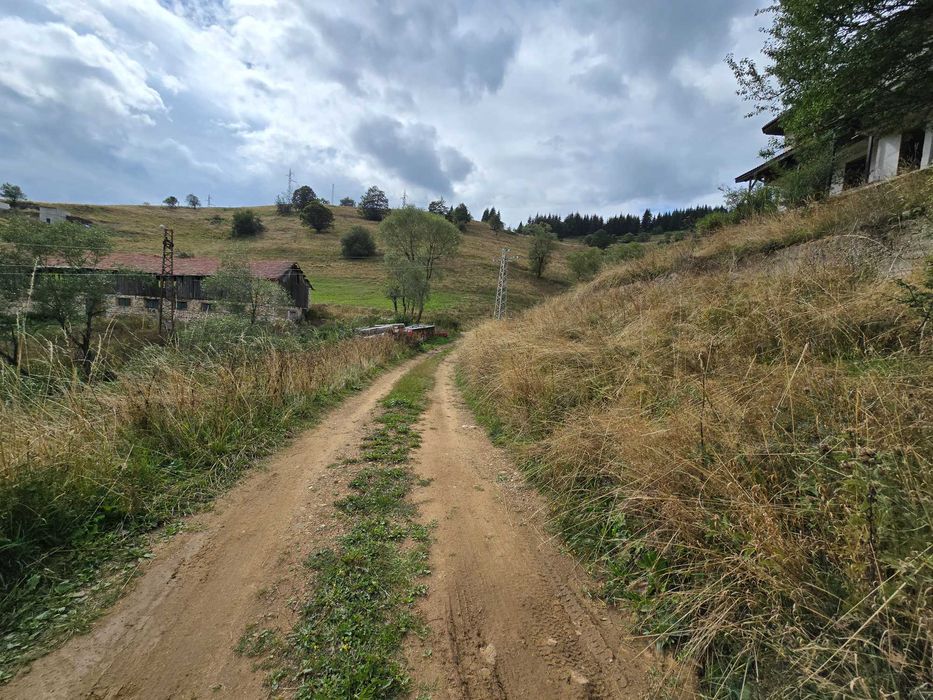 Продавам парцел УПИ 3000кв.м. в село Проглед, общ.Чепеларе