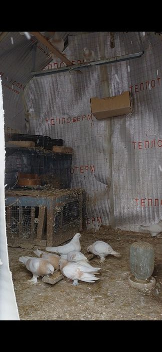 Читать описание ,просто интересно не надо писать