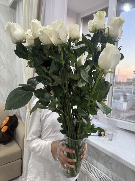 Срочно продам цветы роза