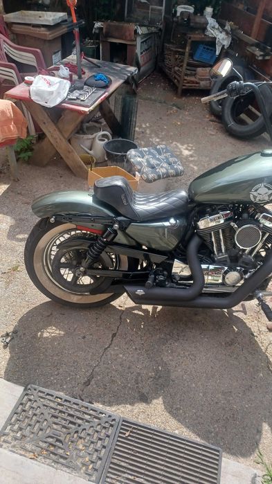 Harley davidson softail