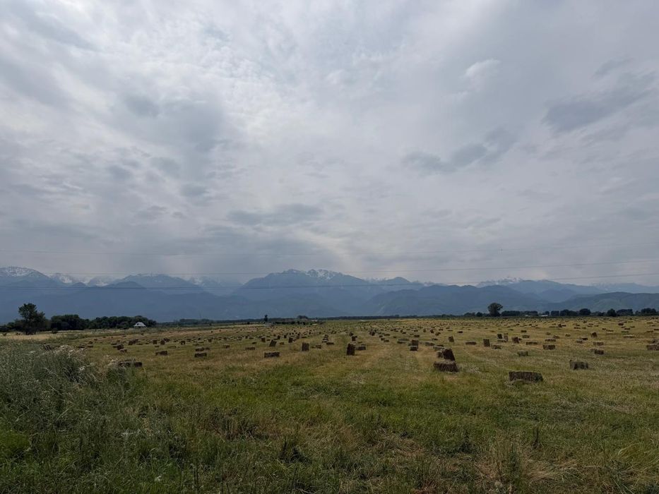 Продам сено разнотравье