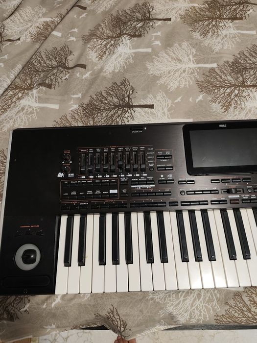 Korg Pa4x/Korgpa4X