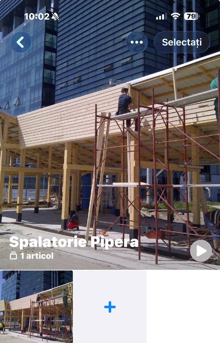 Case pe structura lemn
