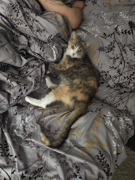 Анфиса ищет любящую семью!