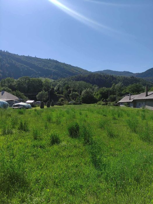 Teren de vanzare, intravilan, 1502 mp, Sat Straja Comuna Tarcau