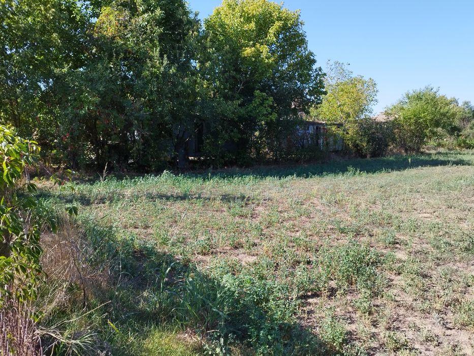 Продава се Парцел в Велико Търново, Бузлуджа - 1500 кв.м за 7 €/кв.м - Снимка #1