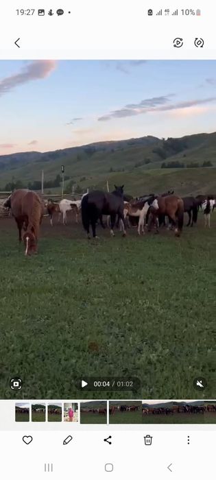 Продам крестьянсеое хозяйство