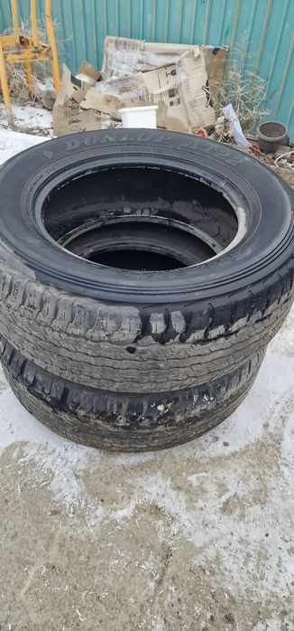 Продам летние покрышки