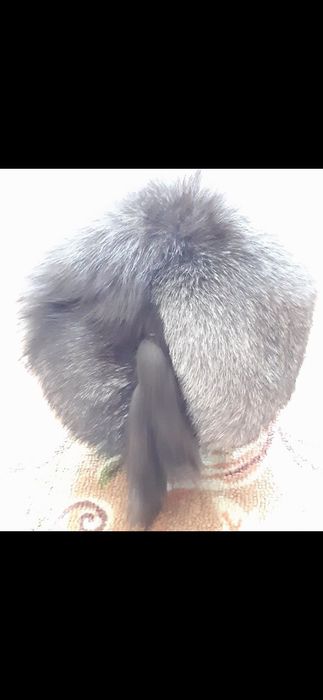 Шапка (чернобурка)