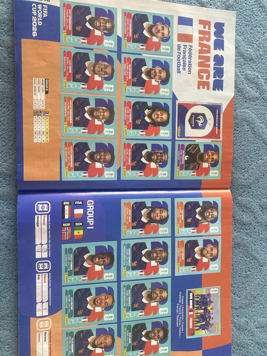 Vand album panini 99% completat