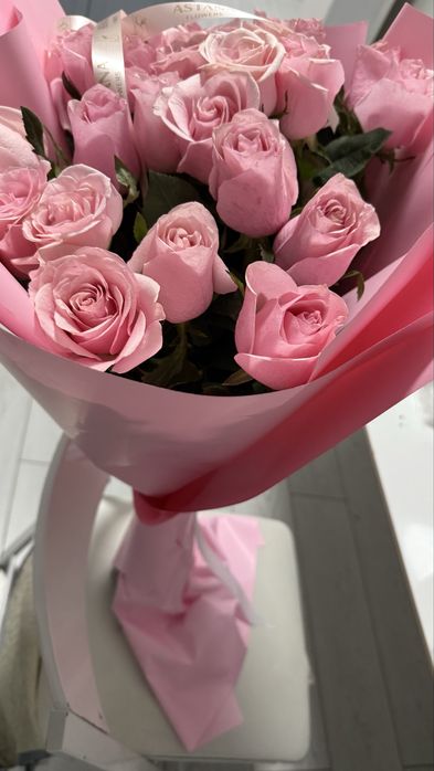 Цветы , роза ,новые