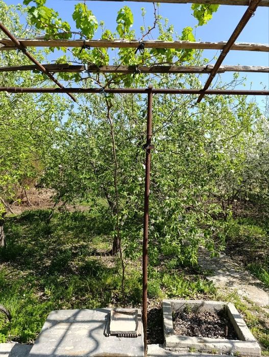 Навоий шахрмда ХОВЛИ.