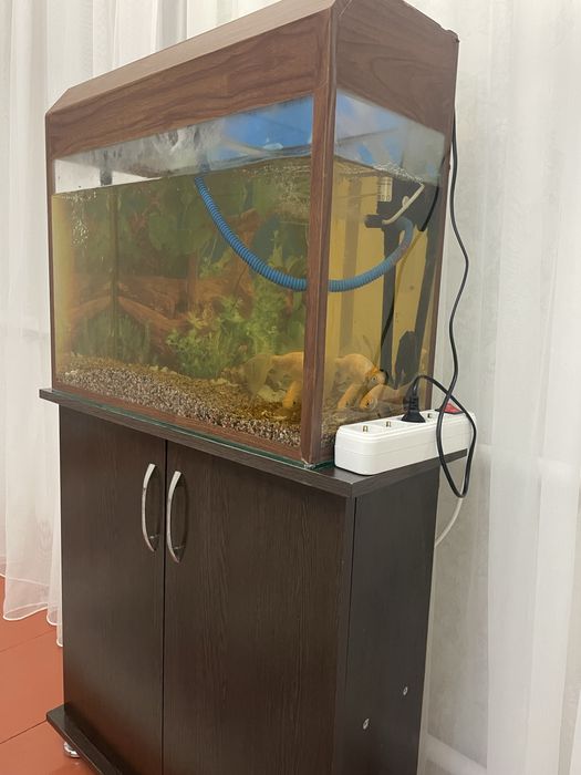 Продаю аквариум без рыбок