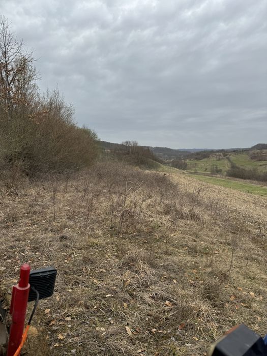 Defrisare terenuri pasuni, spini,maracini