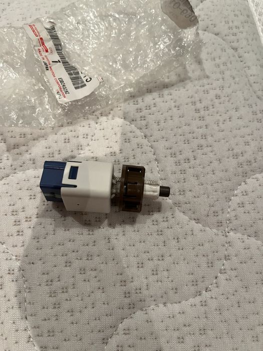 Продам лягушку на Прадо