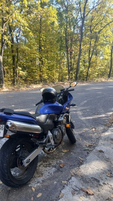 Vand Honda Hornet