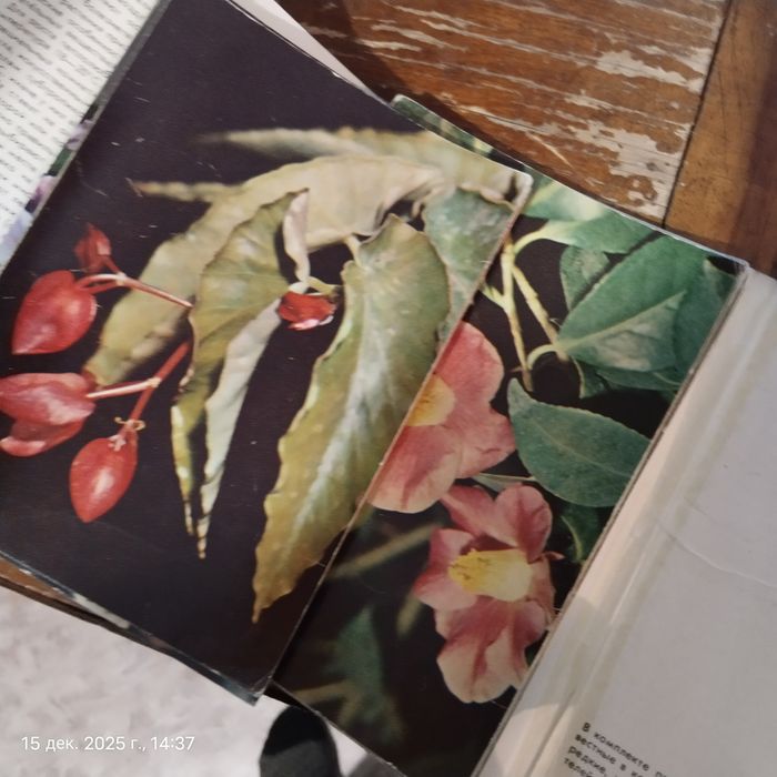 наборы открыток.ссср.