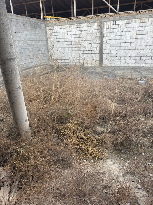 Tomi yopilgan adelka kilish lerak