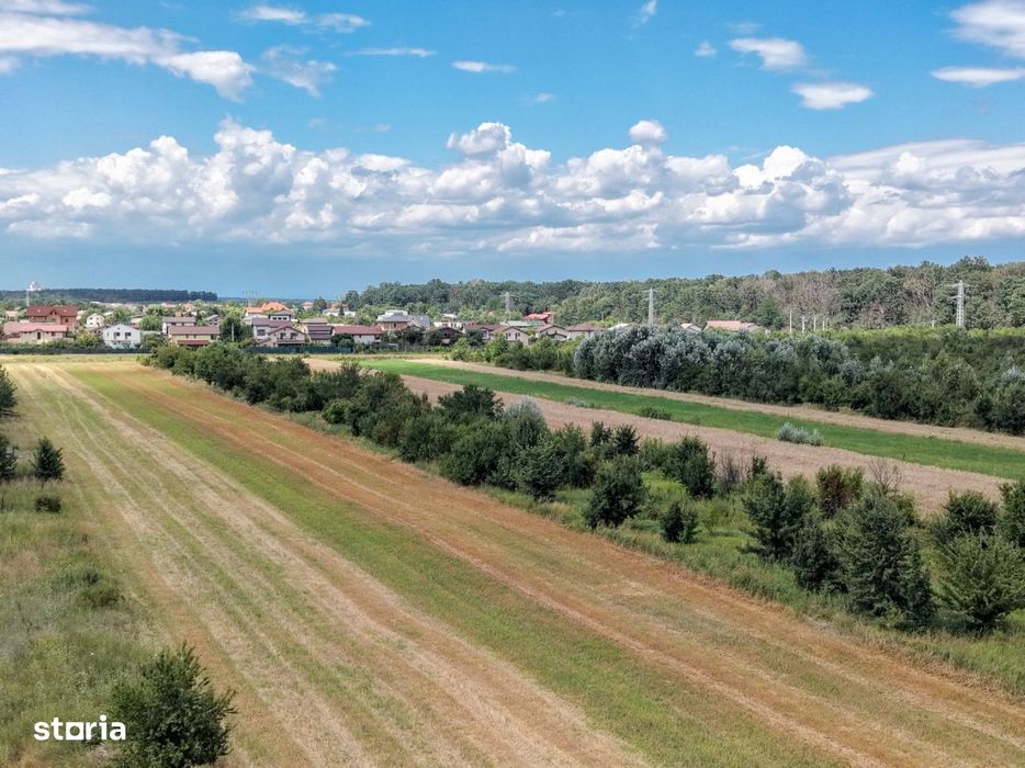 Teren Gulia Tartasesti, padurea Raioasa, investitie premium