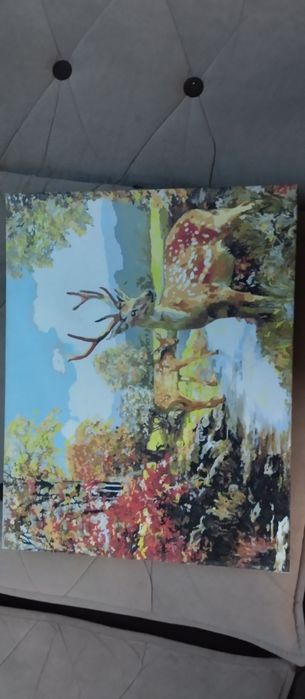 Продаются картины на холсте, выполненные в технике «картина по номерам