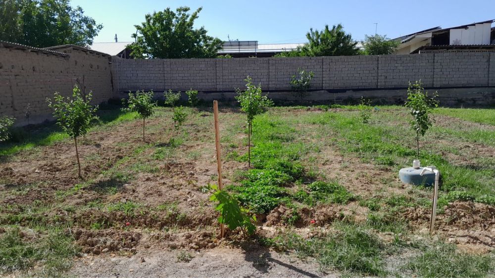 Zangi Ota bözsu 4 sötx uy sotiladi