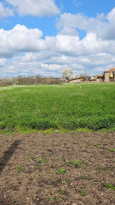 Продава ПАРЦЕЛ      област Добрич, с. Царевец