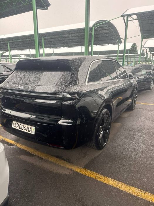 Li 6 max 2024 кора