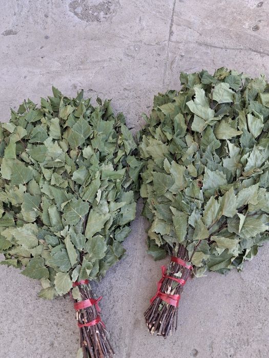 Продам березовые веники
