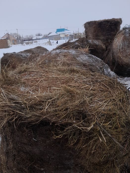 Сено руллон в хорошем качестве