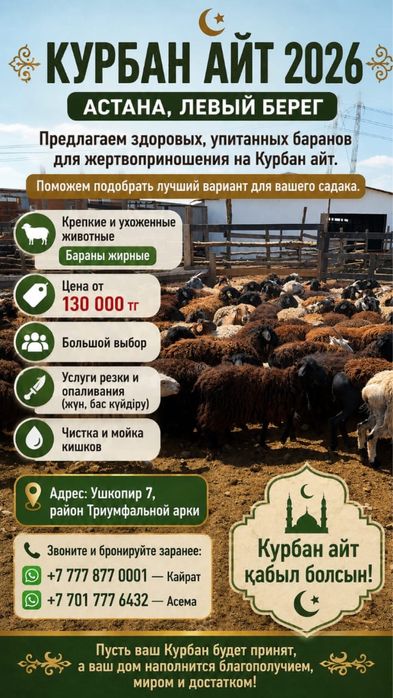 бараны хорошие левый берег