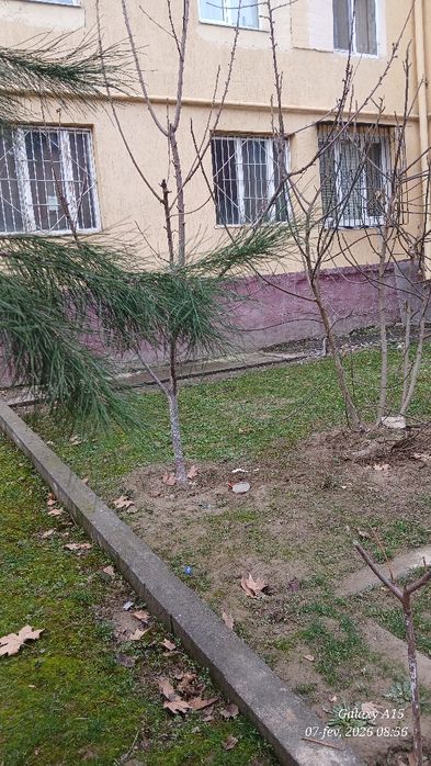 Под офис арендага берилади 70кв
