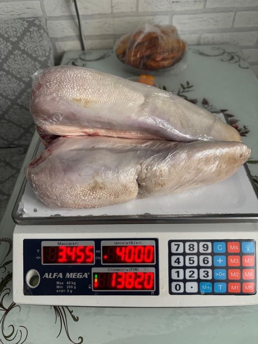 Продам оптом говяжие языки