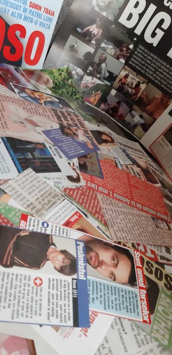 Colectie de articole cu concurentii emisiunii Big Brother