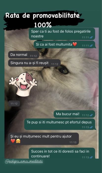Meditatii romana/istorie/geografie/engleza si ajutor la teste