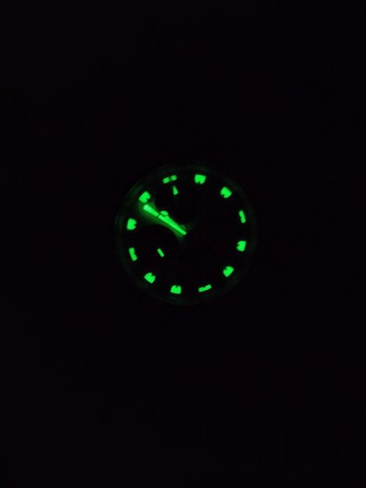 Citizen Promaster Panda Alarm Chronograph 90's