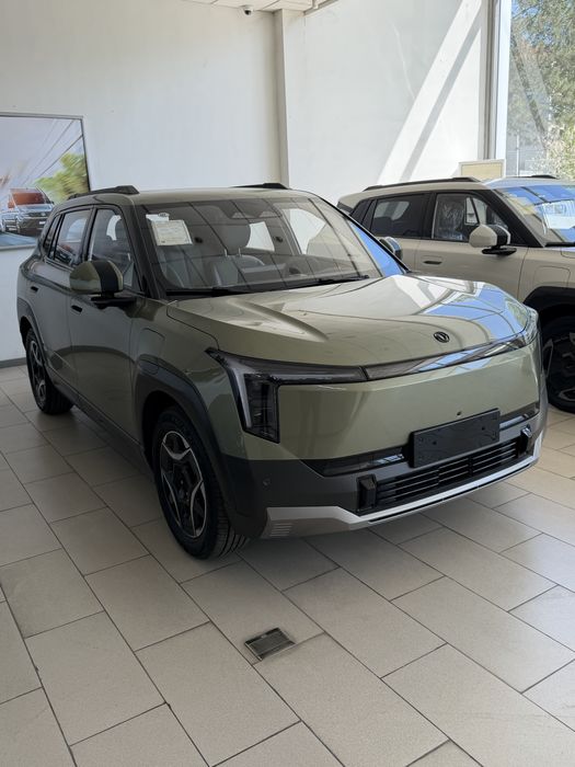 Dongfeng nammi06 Ultra 471