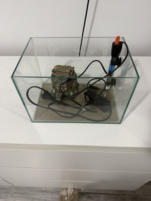 Vand acvarui 12 litri