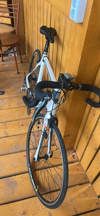 Cirsiera carbon Boardman