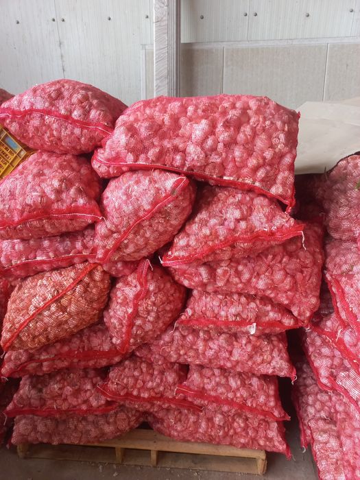 Vand ust de pus în pământ 4 lei!!